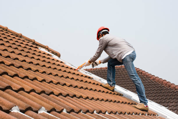 Best Solar Panel Roofing Installation  in Lyman, SC
